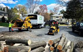 Best Tree Preservation Services  in North Plainfield, NJ